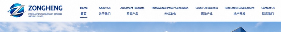 ZONGHENG homepage section 1