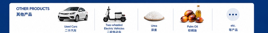 ZONGHENG homepage section 6